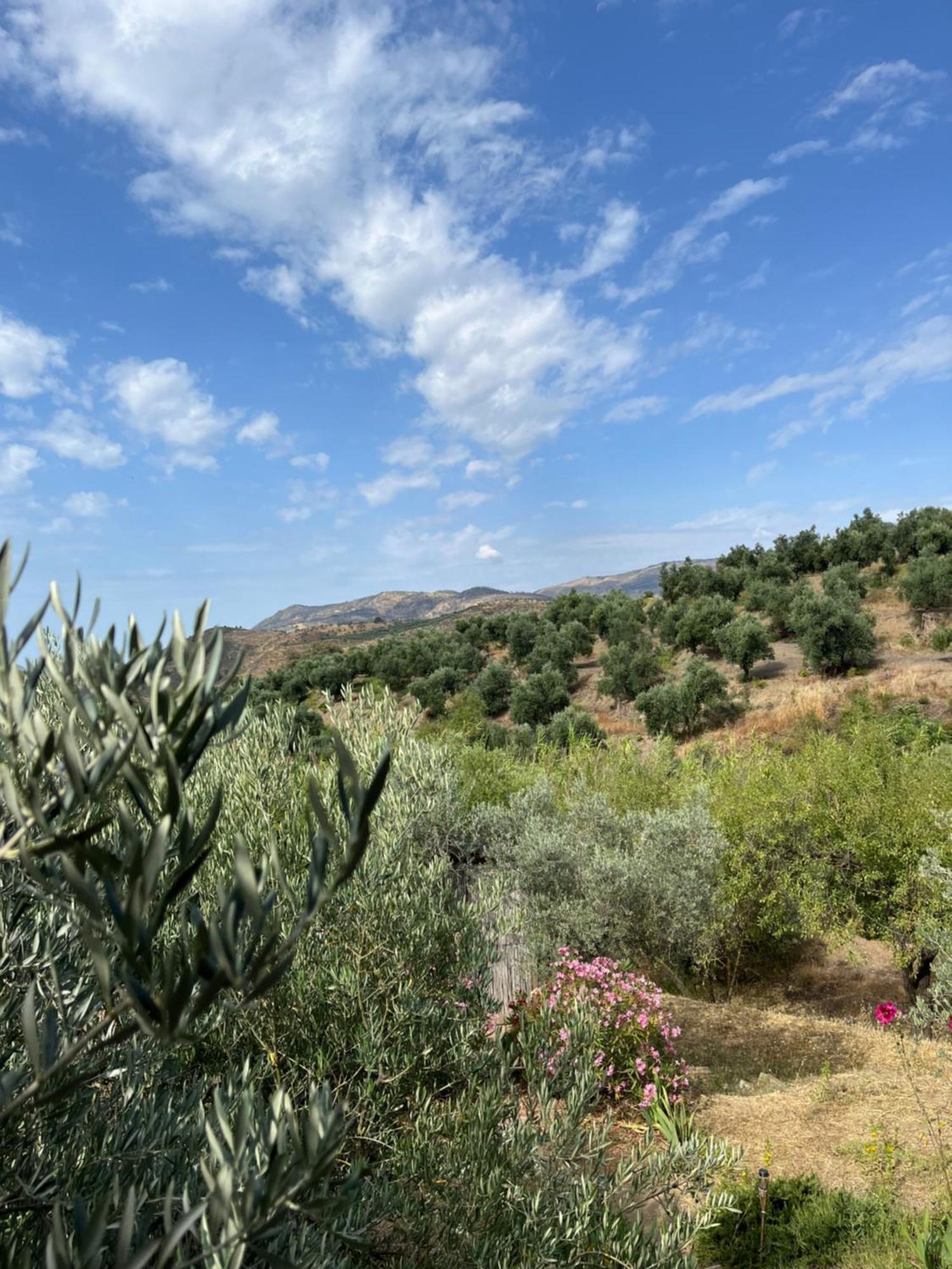 Cortijo Alhijra Big Yourte Lanjarón Esterno foto